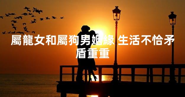 屬龍女和屬狗男姻緣 生活不恰矛盾重重